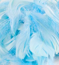 Perje Blue 50g