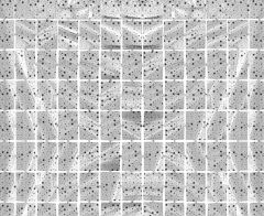 Panel Zavesa Stars Metallic Silver