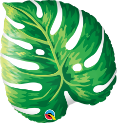 Standard Tropical Philodendron folija balon
