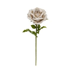 Žametna Vrtnica Champagne 108 cm