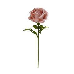 Žametna Vrtnica Powder pink 108 cm