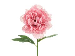 Umetni cvet Potonika roza 35 cm