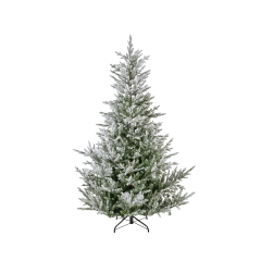 Norway smreka snežna 210 cm