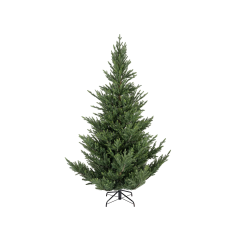 Norway smreka 240 cm