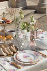 Hydrangea krožniki 21cm