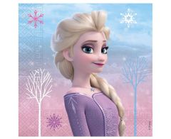 Frozen Wind Spirit servete 33x33 cm