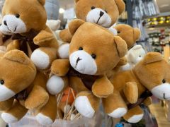 Medvedek rjav na palčki 10x8 cm